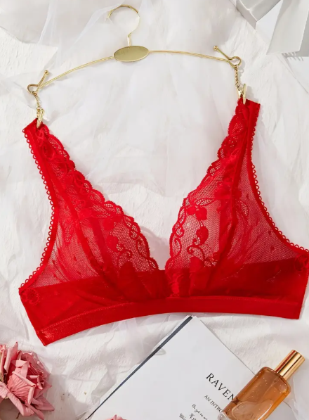 Red sexy lace bra by The Seventh Muse on a gold hanger with a magazine and perfume bottle in the background.