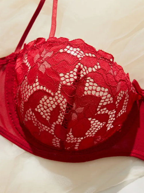 Red lace bra and thong set from The Seventh Muse featuring sheer mesh wings, small bow details on the straps, and full floral embroidery.