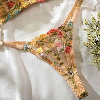 Midnight Whisper Floral Embroidered Lingerie Set – Sheer Mesh Beige