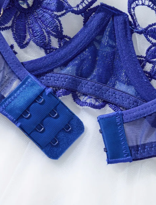 A two-piece royal blue and white lingerie set featuring intricate daisy floral embroidery, including a sheer mesh underwire bra and a matching sheer thong.