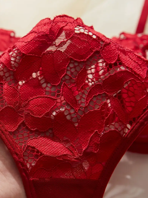Red lace bra and thong set from The Seventh Muse featuring sheer mesh wings, small bow details on the straps, and full floral embroidery.
