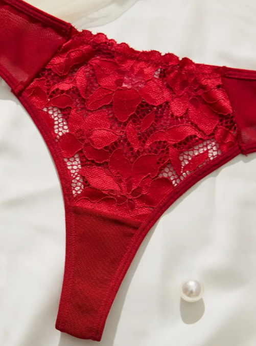 Red lace bra and thong set from The Seventh Muse featuring sheer mesh wings, small bow details on the straps, and full floral embroidery.