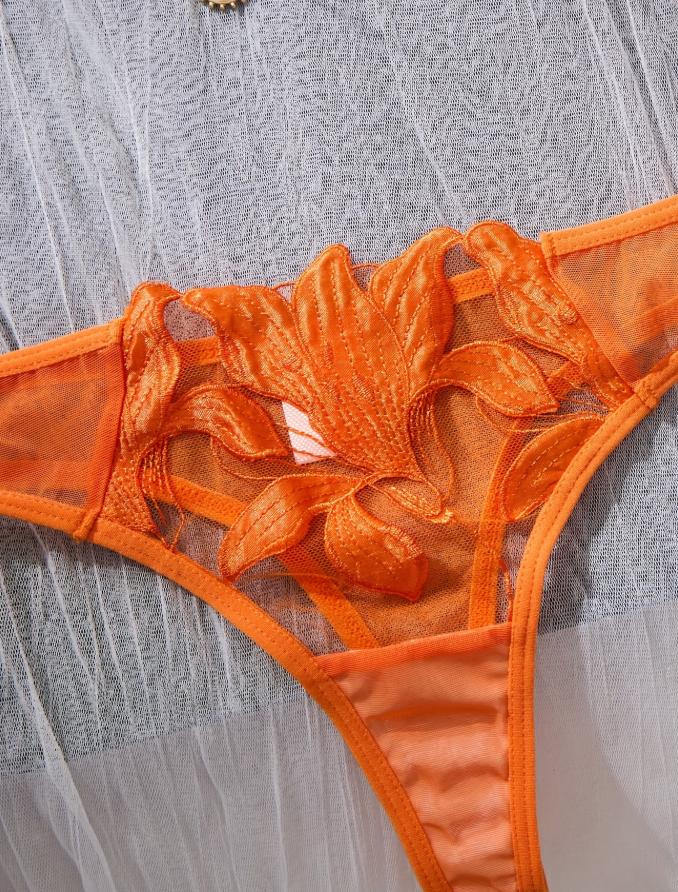 Aurora Flame Embroidered Lingerie Set