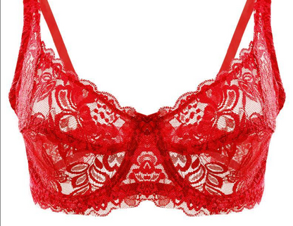 Red lace bra on a white background